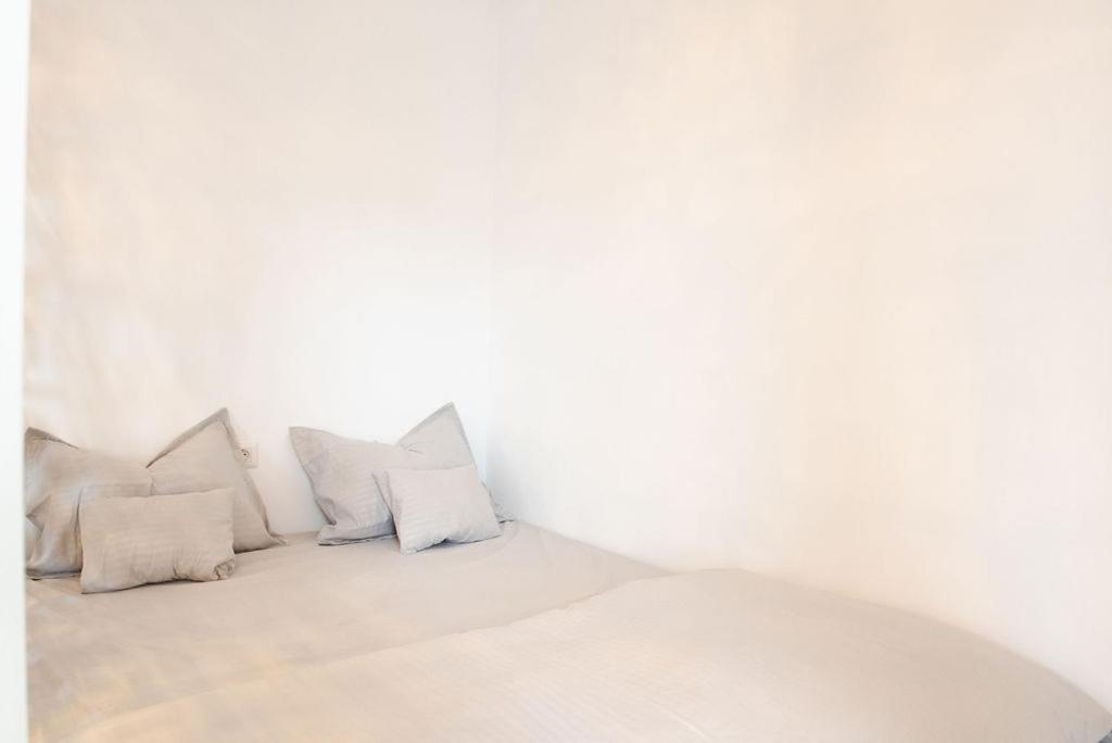 Alternativ 1 Residence 蒂米什瓦拉 外观 照片